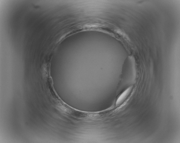 X0000071761353200607212359