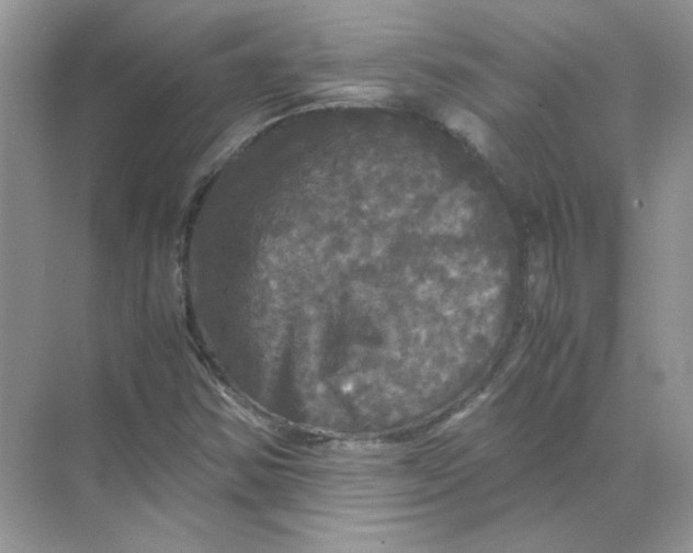 X0000071761354200607212359