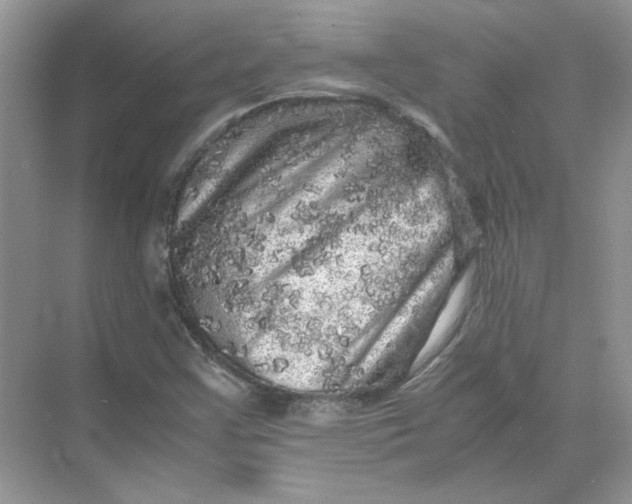 X0000071761355200607212359