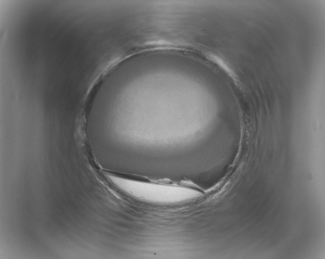 X0000071761357200607212359