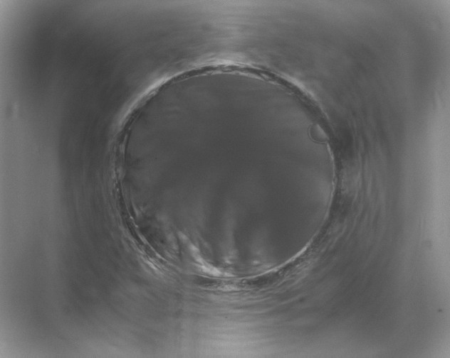 X0000071761359200607212359