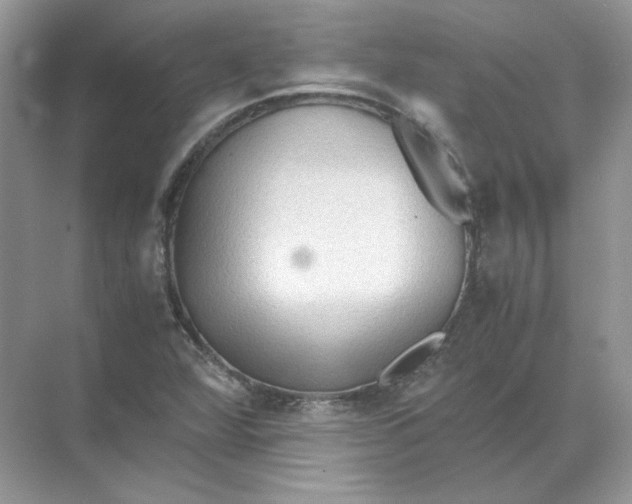 X0000071761360200607212359