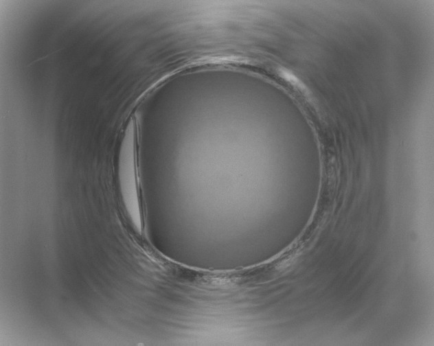 X0000071761361200607212359