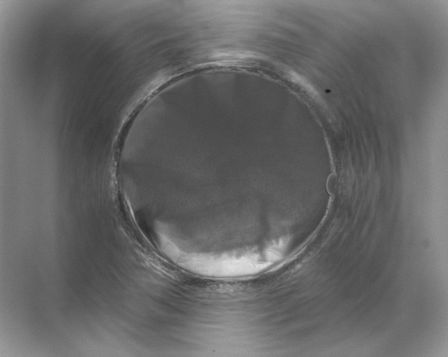 X0000071761362200607212359