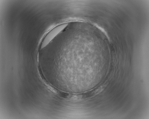 X0000071761365200607212359