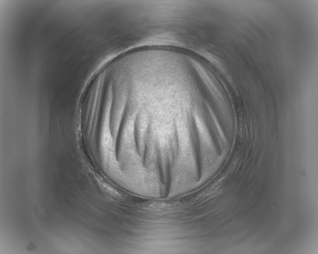 X0000071761366200607212359