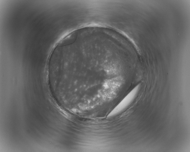 X0000071761367200607212359