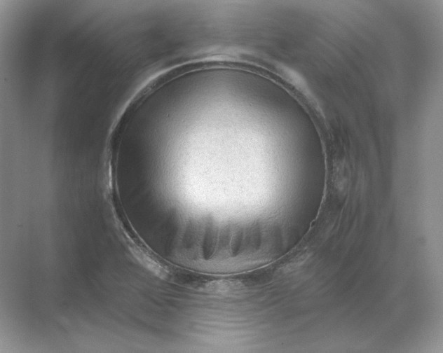 X0000071761368200607212359