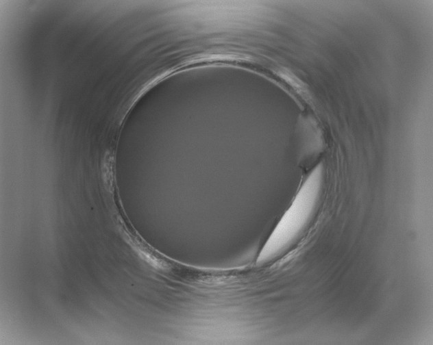 X0000071761369200607212359