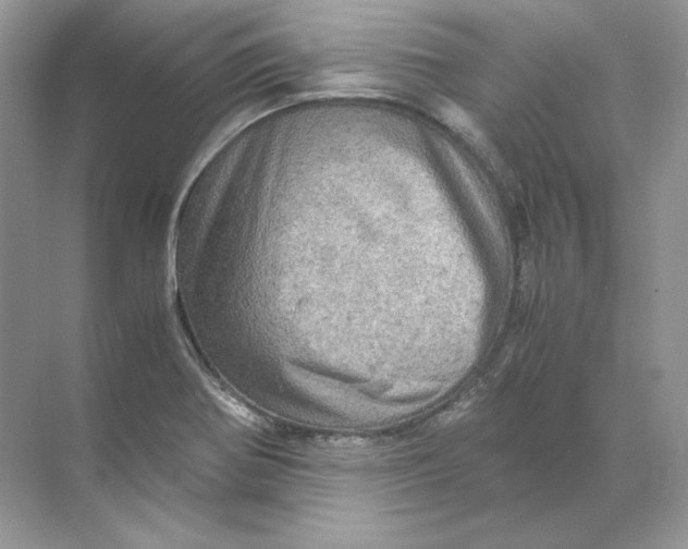 X0000071761370200607212359