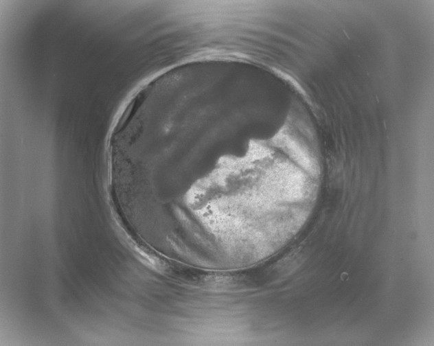 X0000071761371200607212359