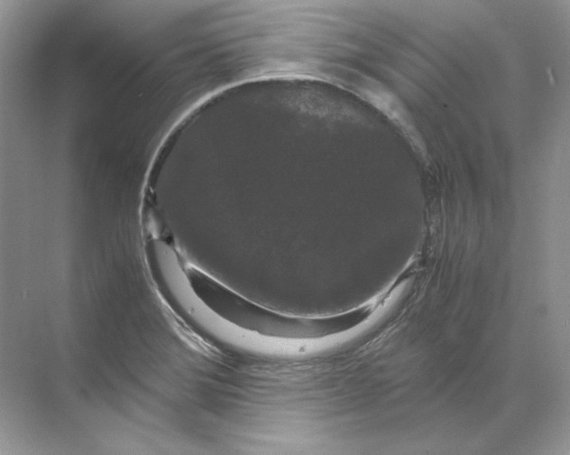 X0000071761372200607212359