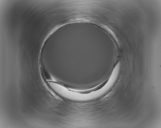 X0000071761373200607212359