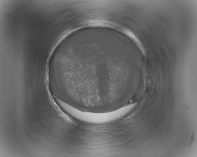 X0000071761376200607212359