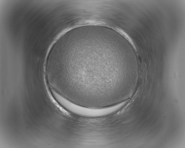 X0000071761381200607212358