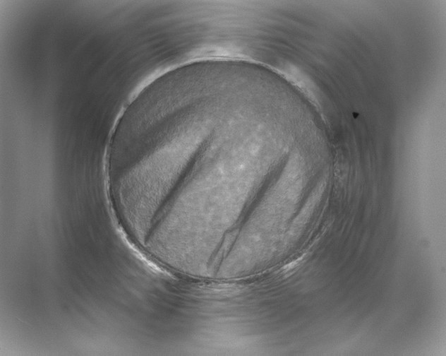 X0000071761382200607212358