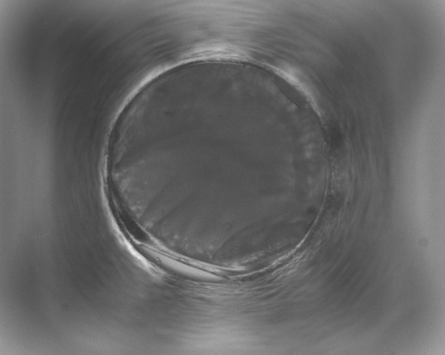 X0000071761383200607212358