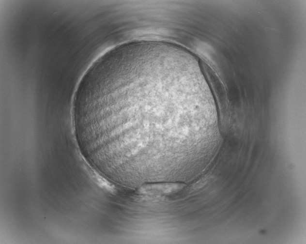 X0000071761384200607212358