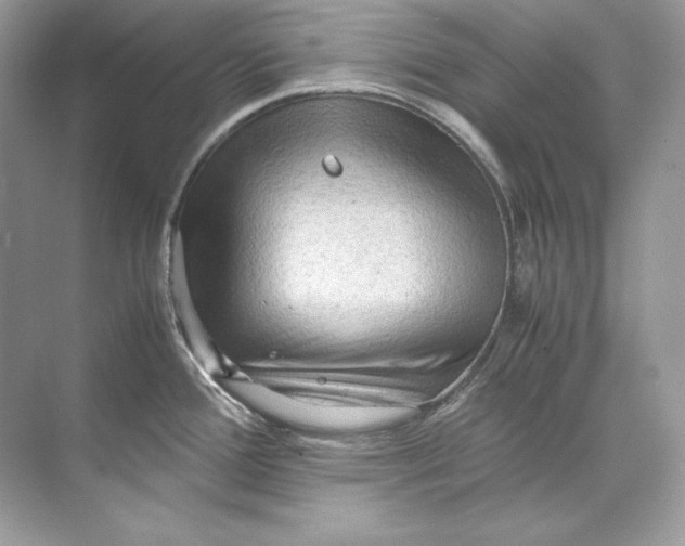 X0000071761388200607212358