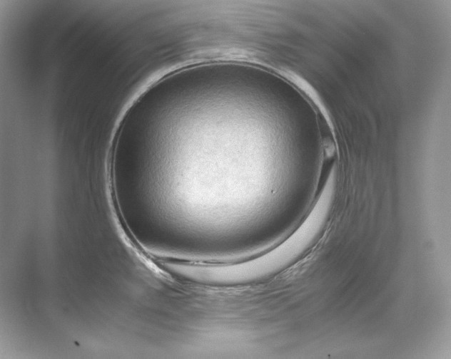 X0000071761389200607212358