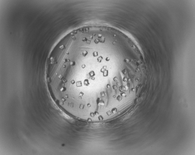 X0000071761390200607212358