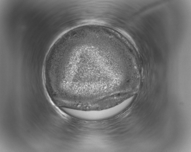 X0000071761391200607212358