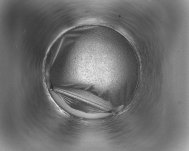 X0000071761392200607212358