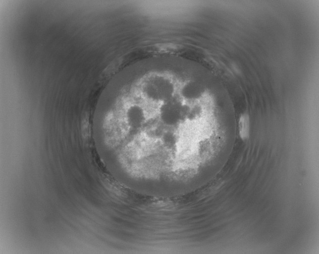 X0000071761395200607212357