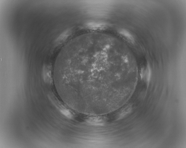 X0000071761396200607212358