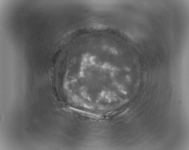 X0000071761397200607212358