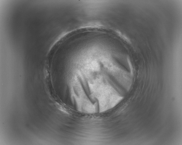 X0000071761400200607212358