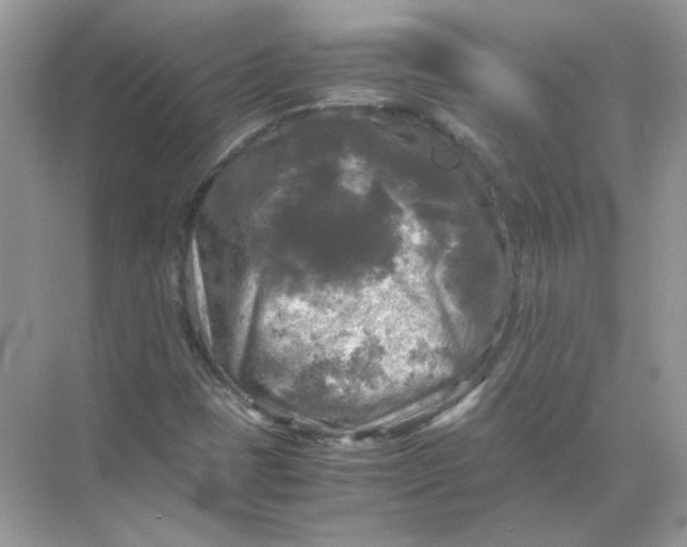 X0000071761401200607212358