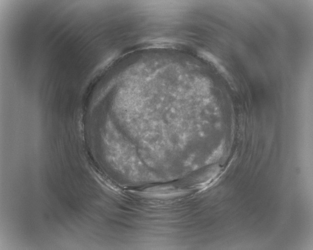 X0000071761403200607212358