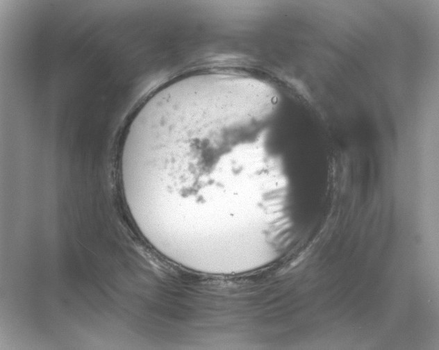 X0000071761405200607212358