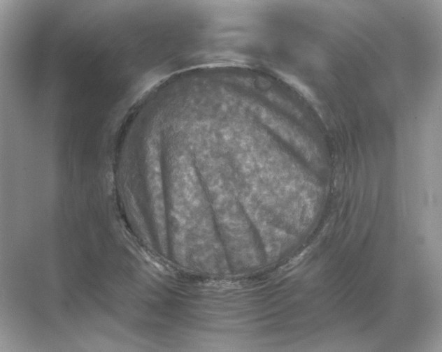 X0000071761407200607212358