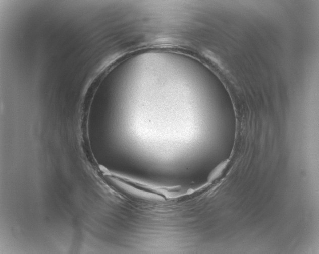 X0000071761410200607212358