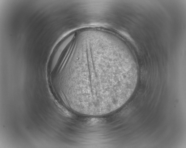 X0000071761412200607212358