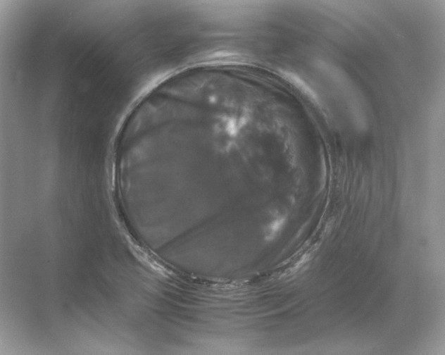 X0000071761413200607212358