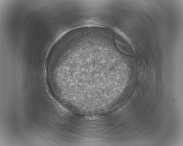 X0000071761415200607212358