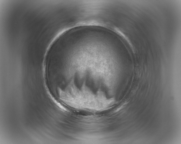 X0000071761416200607212358