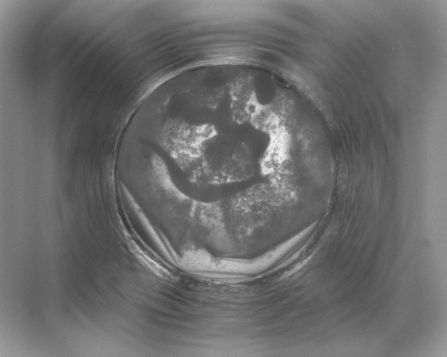 X0000071761417200607212358