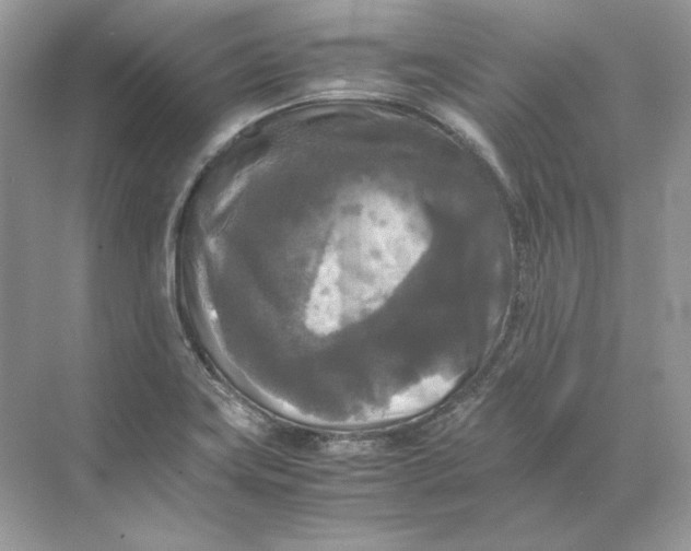 X0000071761419200607212358