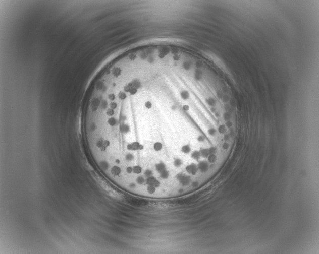 X0000071761420200607212358