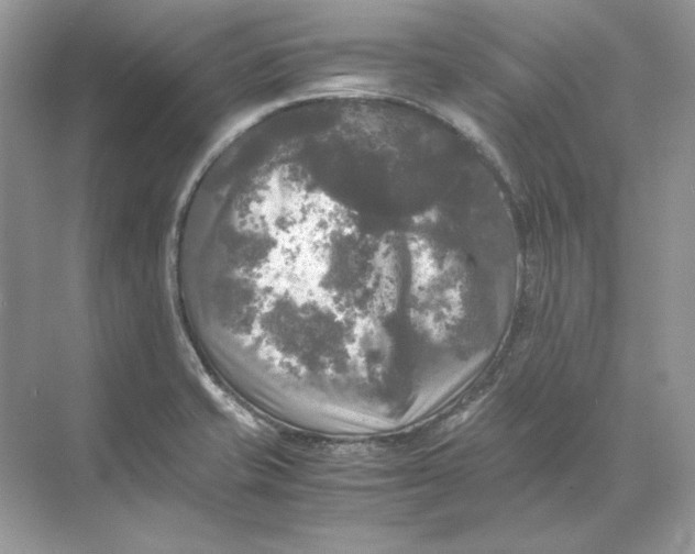 X0000071761421200607212358