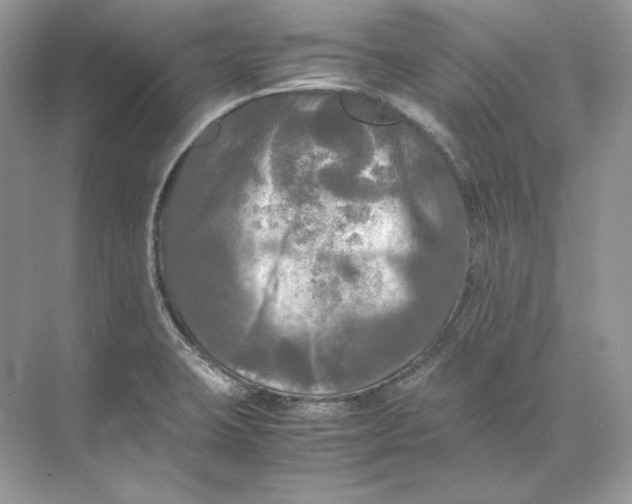 X0000071761423200607212358