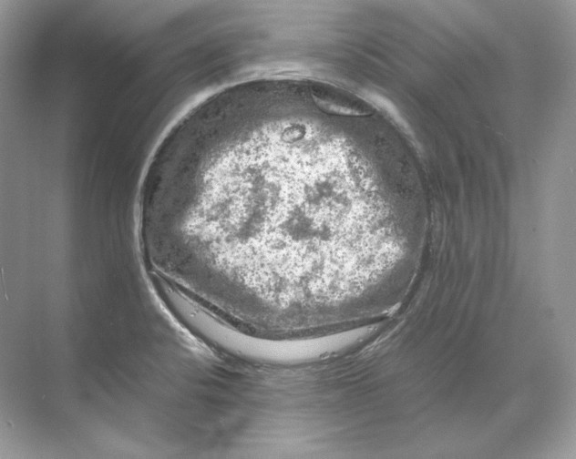 X0000071761424200607212358