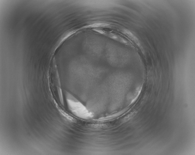 X0000071761425200607212358