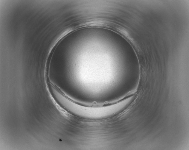 X0000071761426200607212358