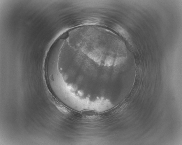 X0000071761427200607212358