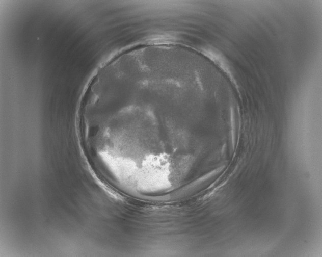 X0000071761429200607212358